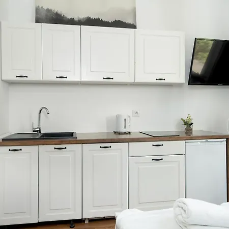 Apartament Cosy Studios Very Berry In Poznan Close To The Park By Noclegi Renters Poznań